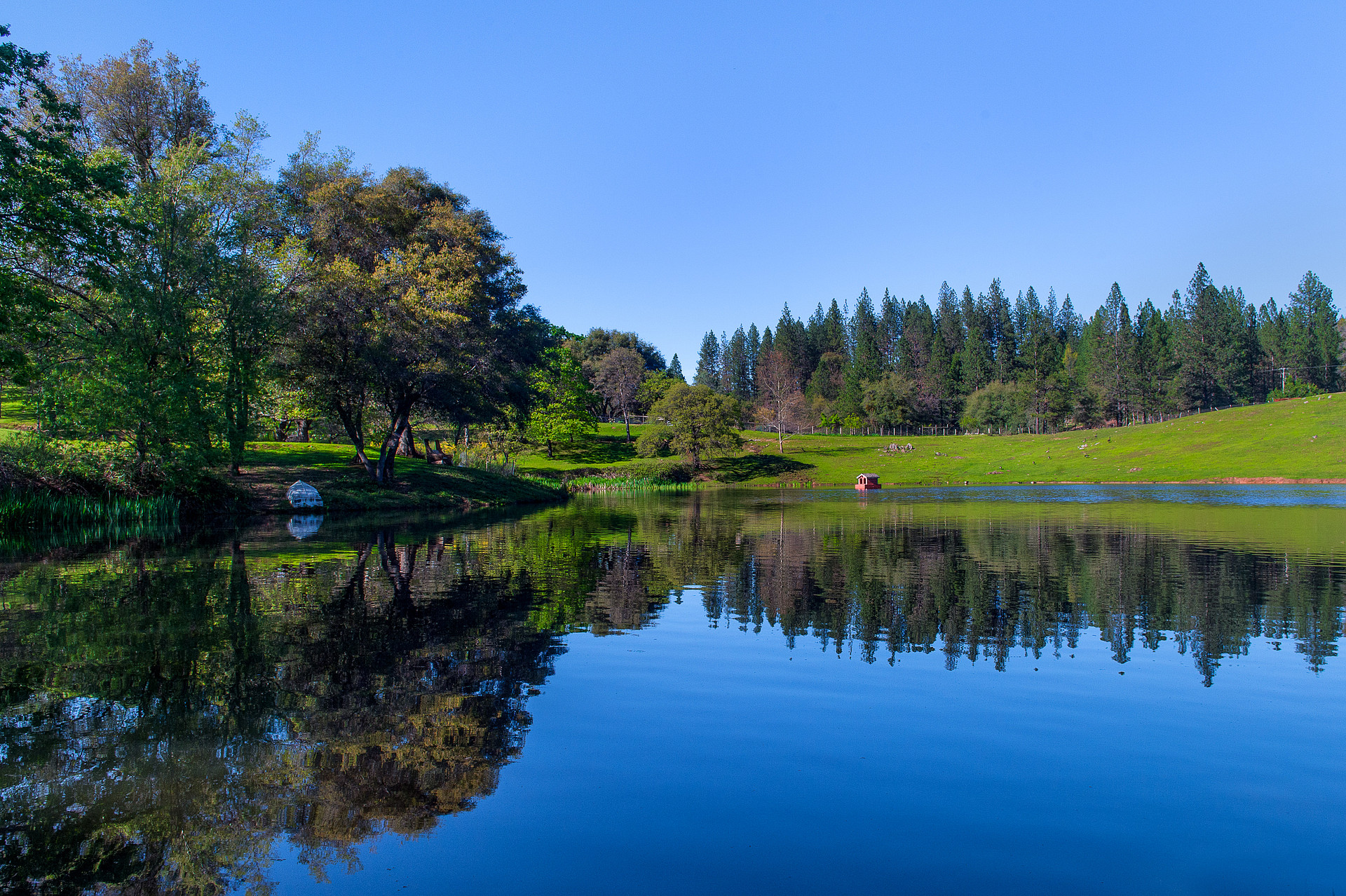 The pond.  Your campsite area is on the knoll to the left. 