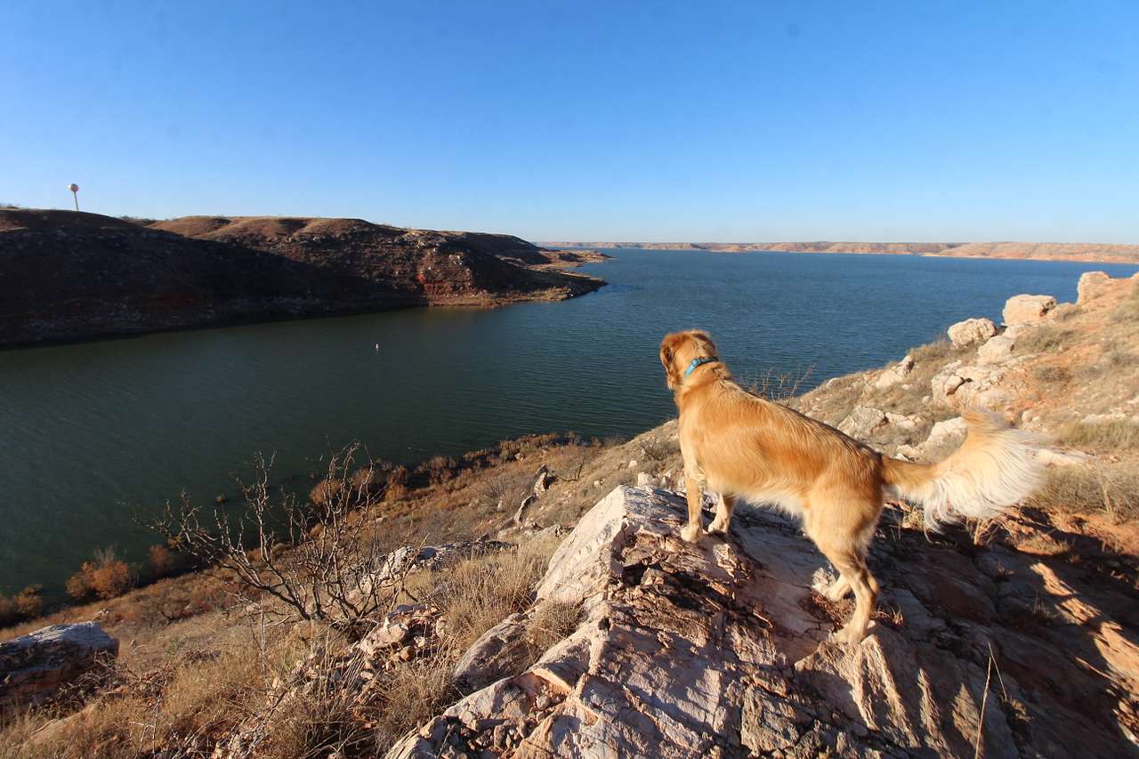 Great lake views next to our campsite! Also dog friendly. 