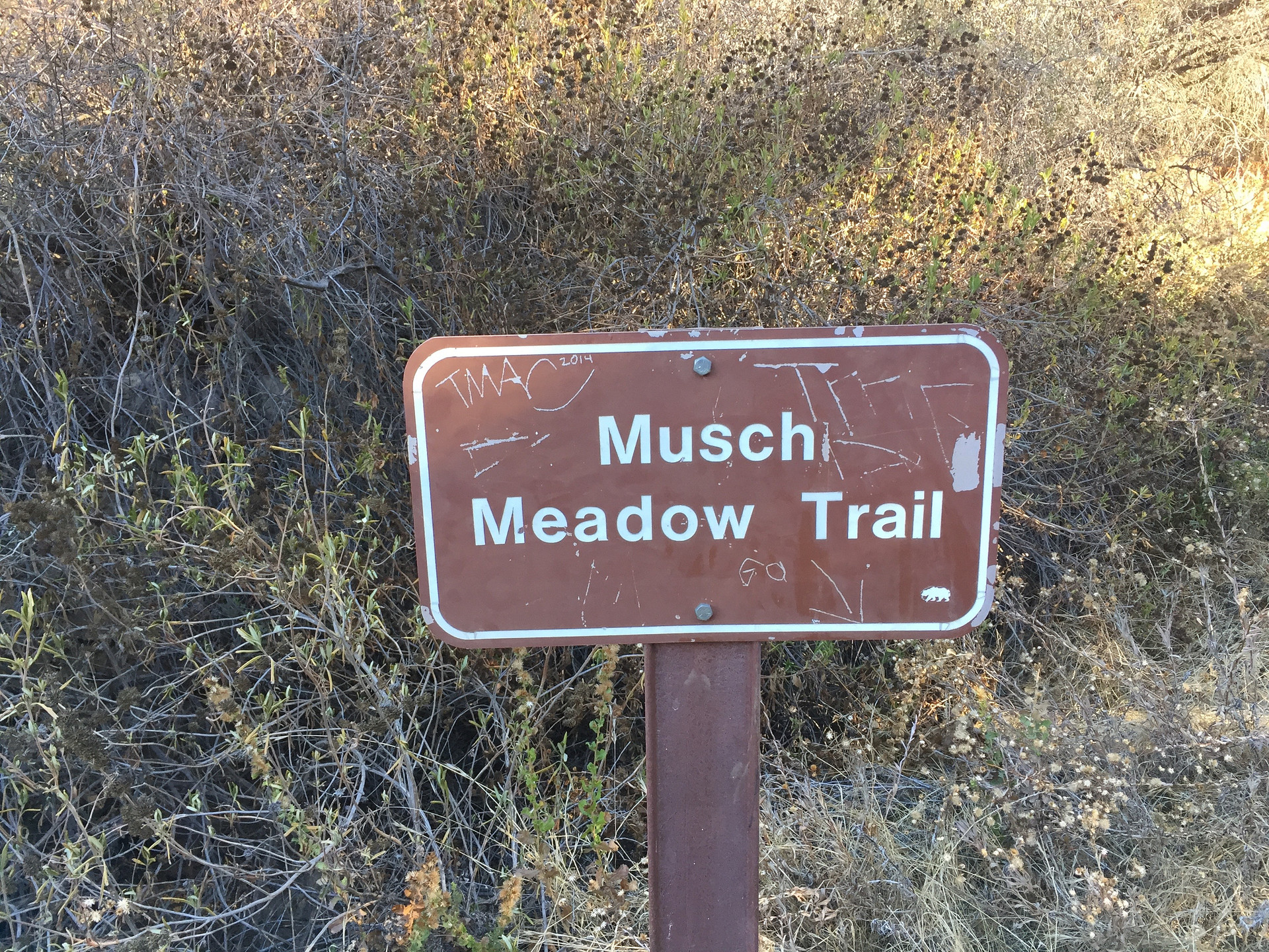 Topanga State Park