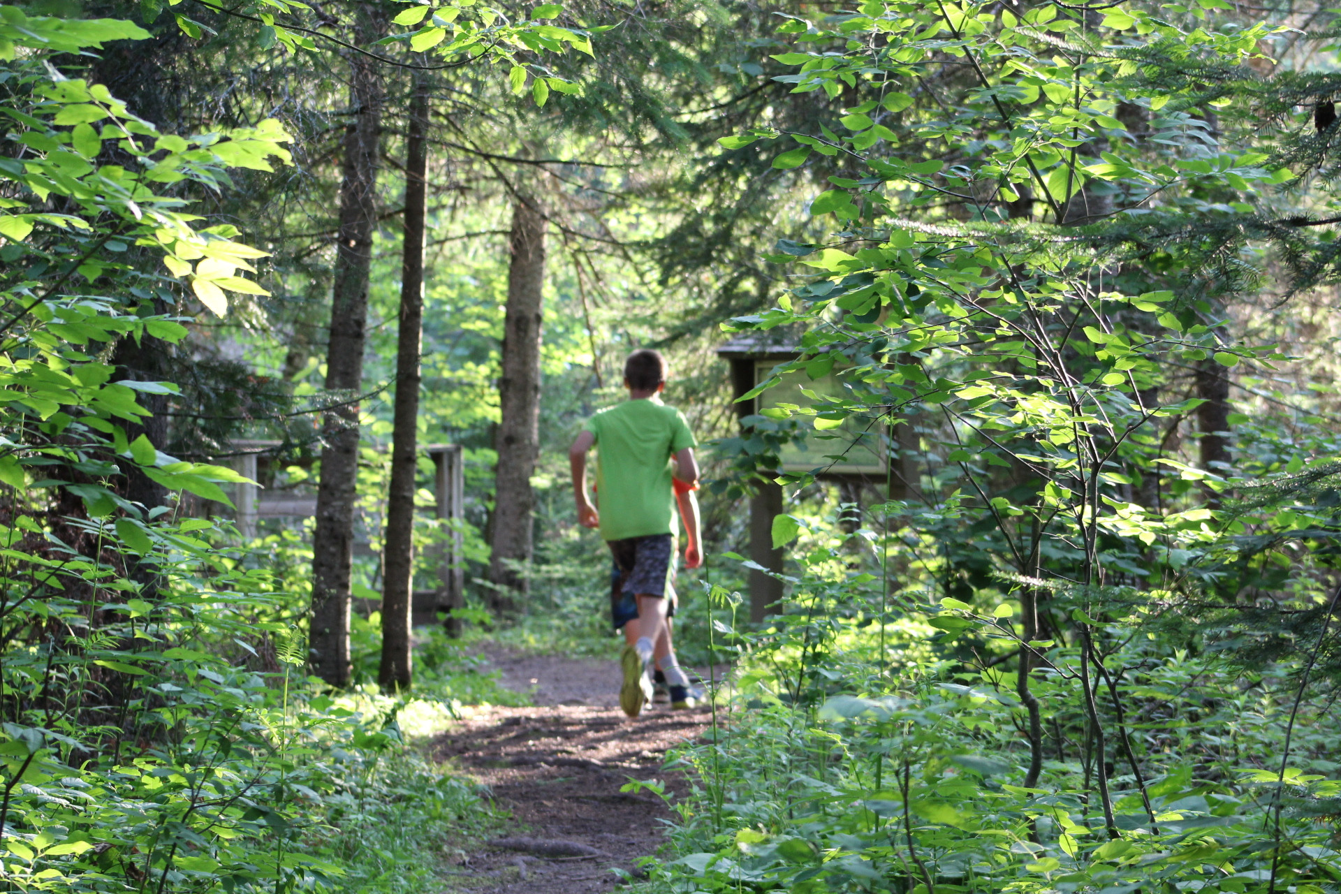 Nice established trails. 