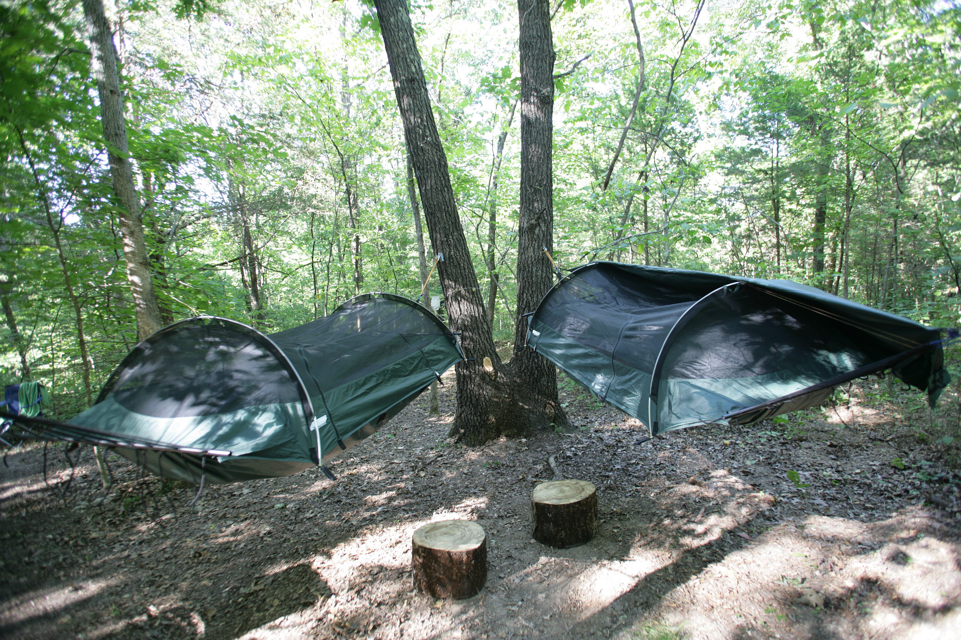 4 hammocks in the world's largest bedroom
