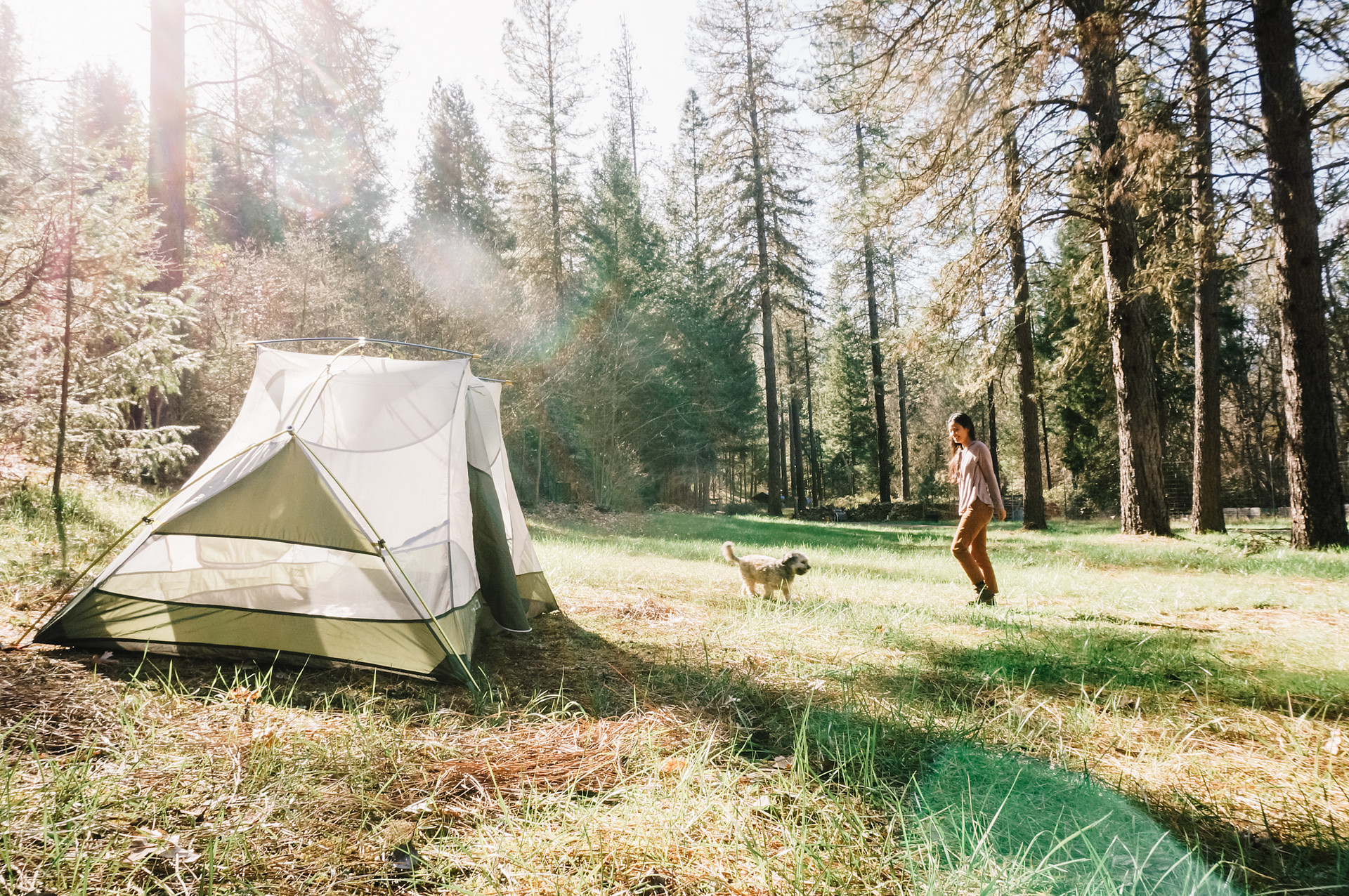 Hidden Forest Get-away