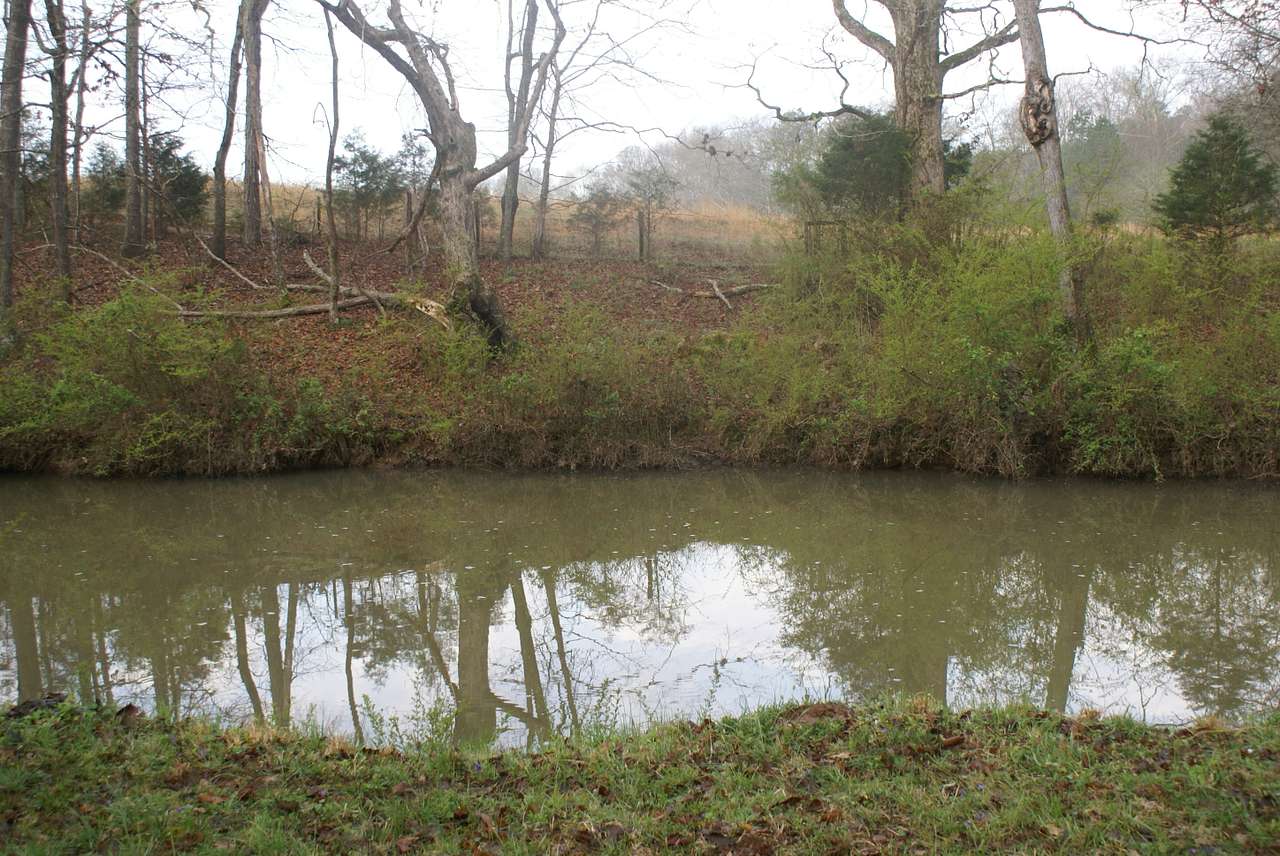 ol' timey swimming hole with rope swing.