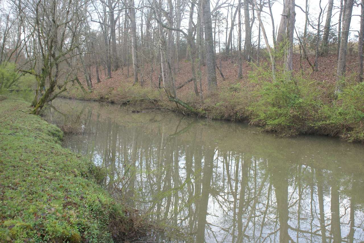 Creek with abundant fish and other natural creatures including Beaver.