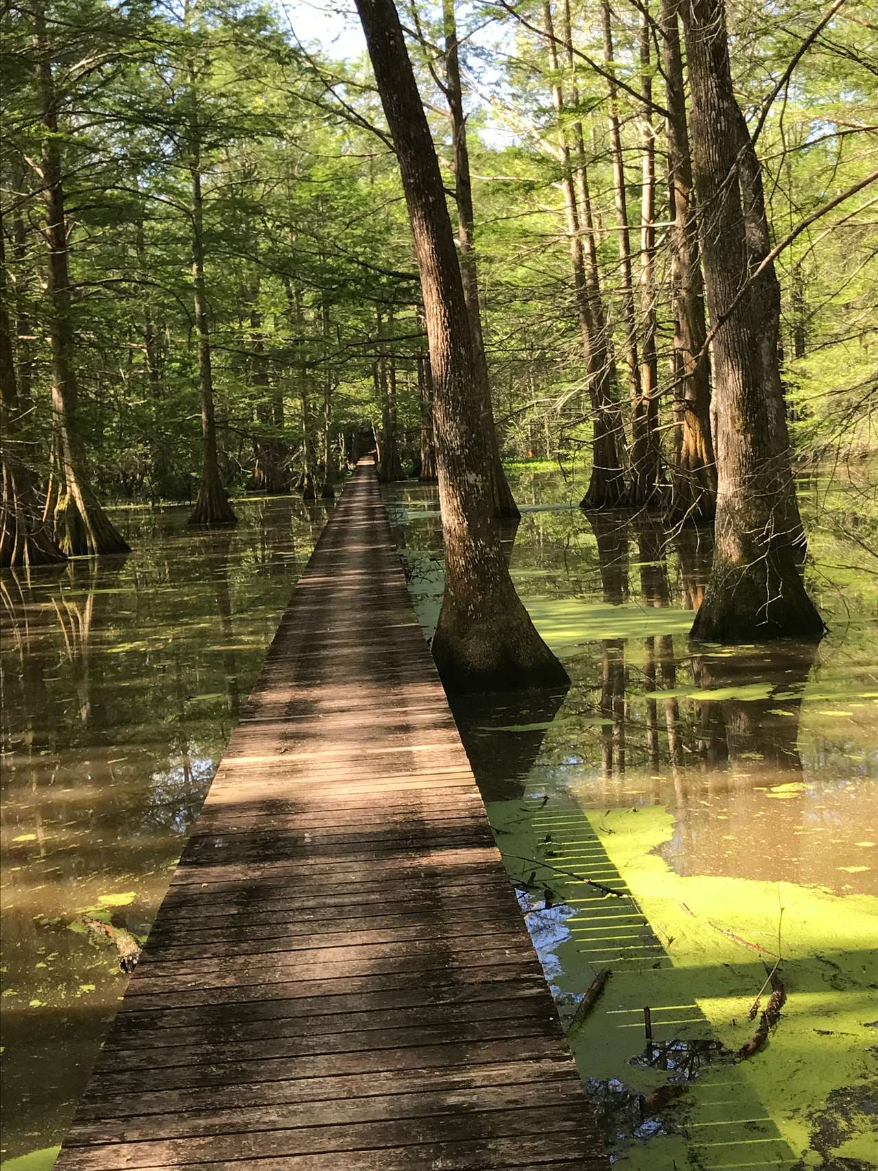 Chicot State Park