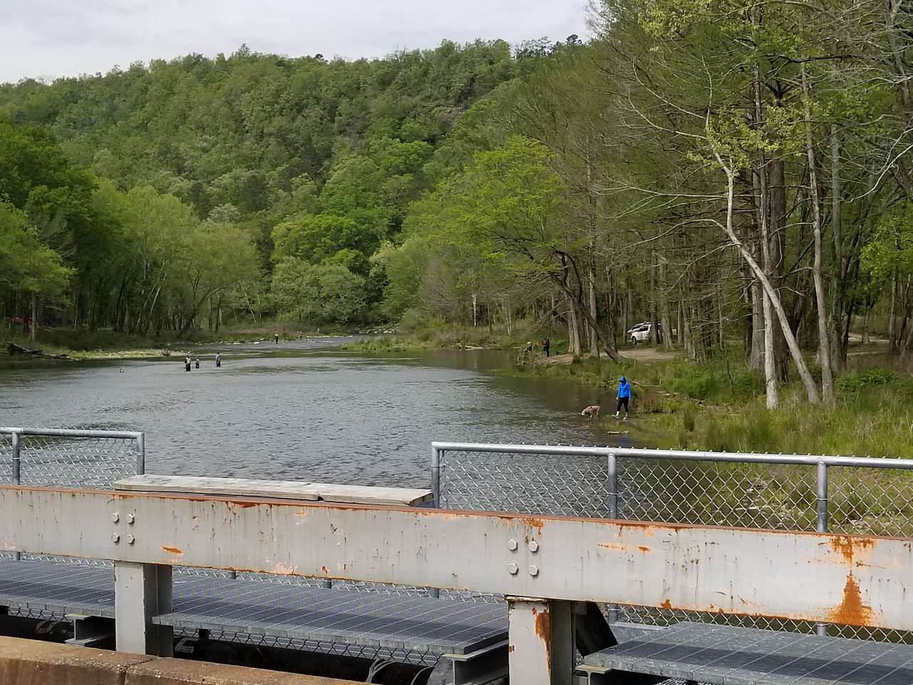 The river