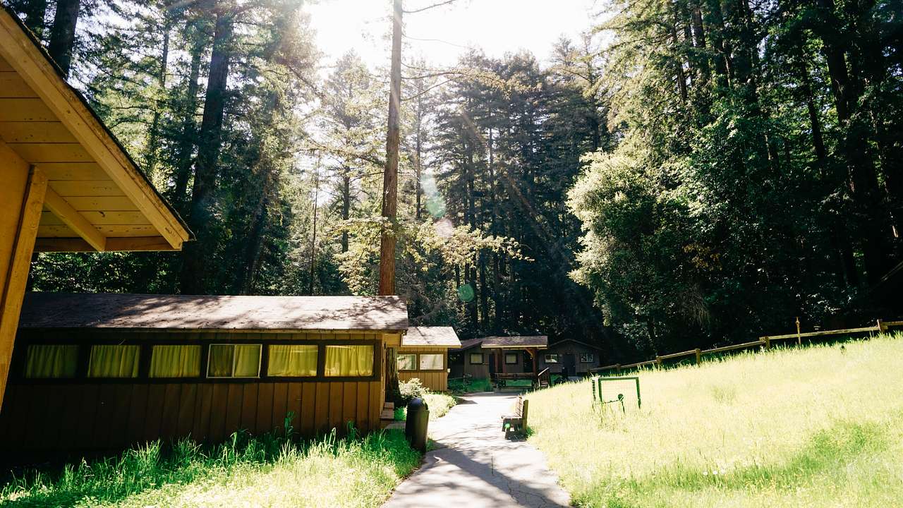Redwood Rain Forest Camp