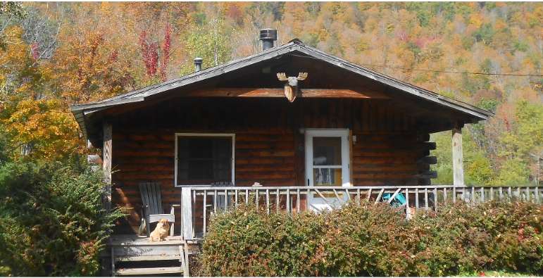 One of our rustic wood cabins to stay in