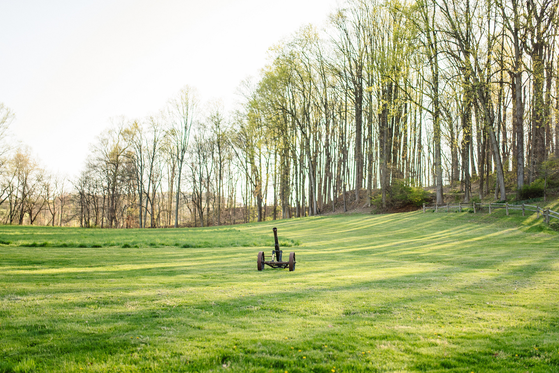 The front lawn is absolutely beautiful!