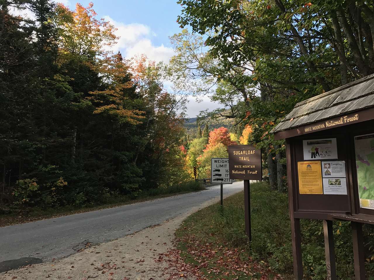 Road connecting campground & Zealand Trail.