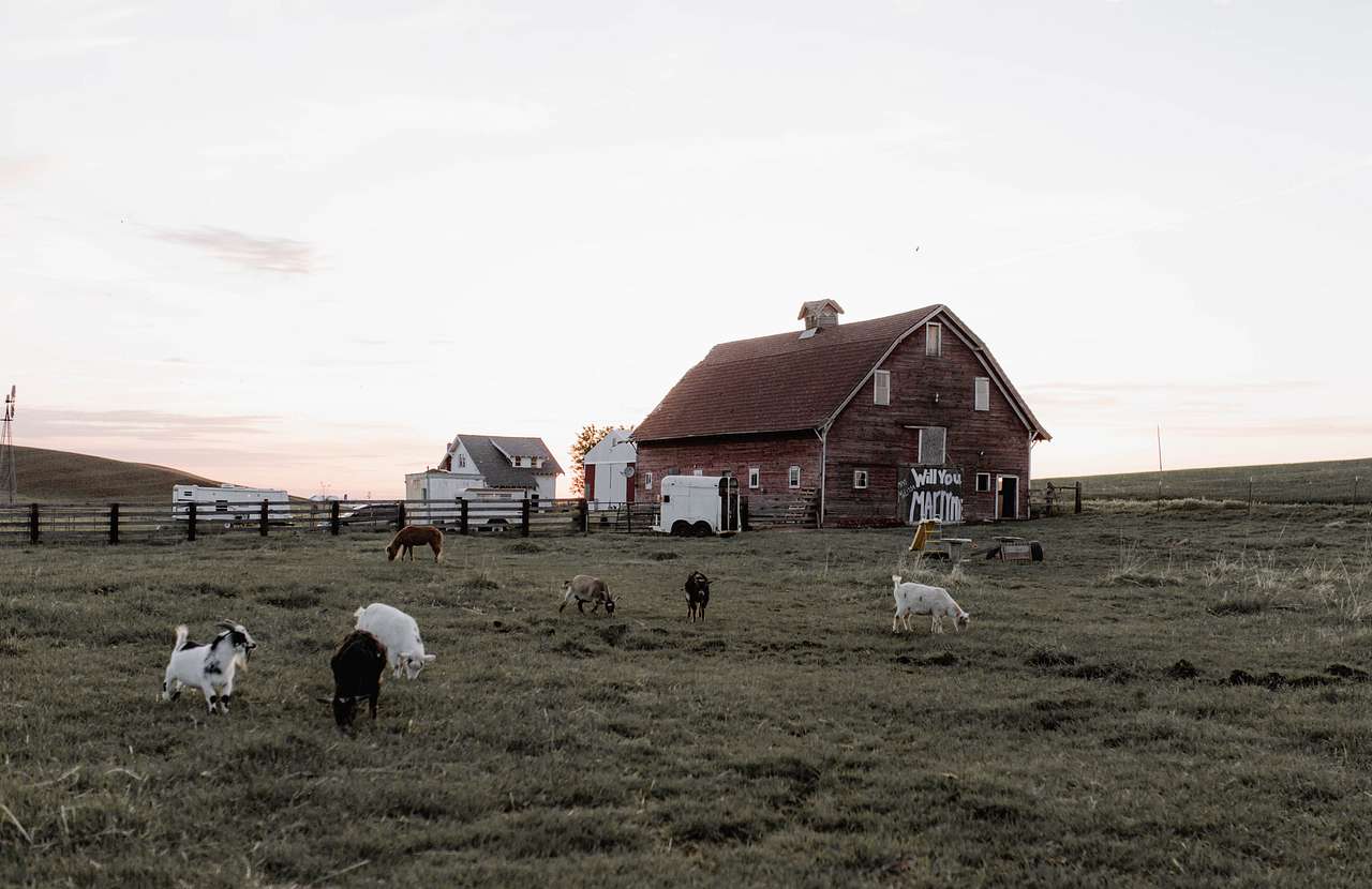 The Old Weber Farm