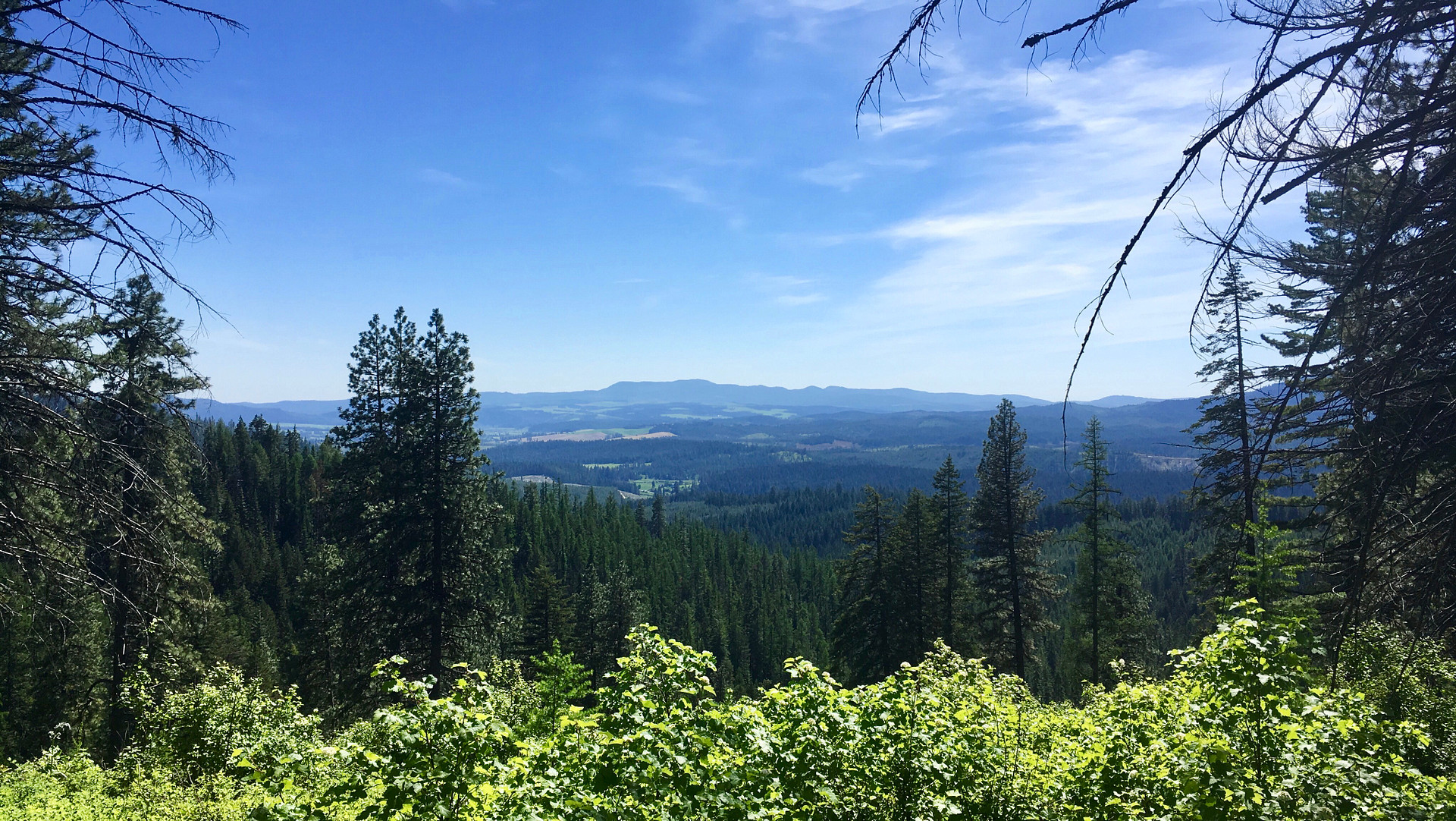 Nez Perce-Clearwater National Forests