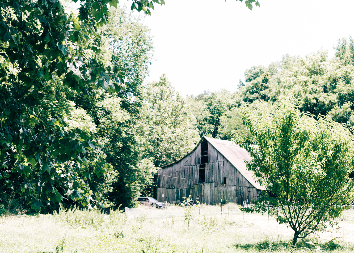 You'll park at the barn and walk to your campsite. 