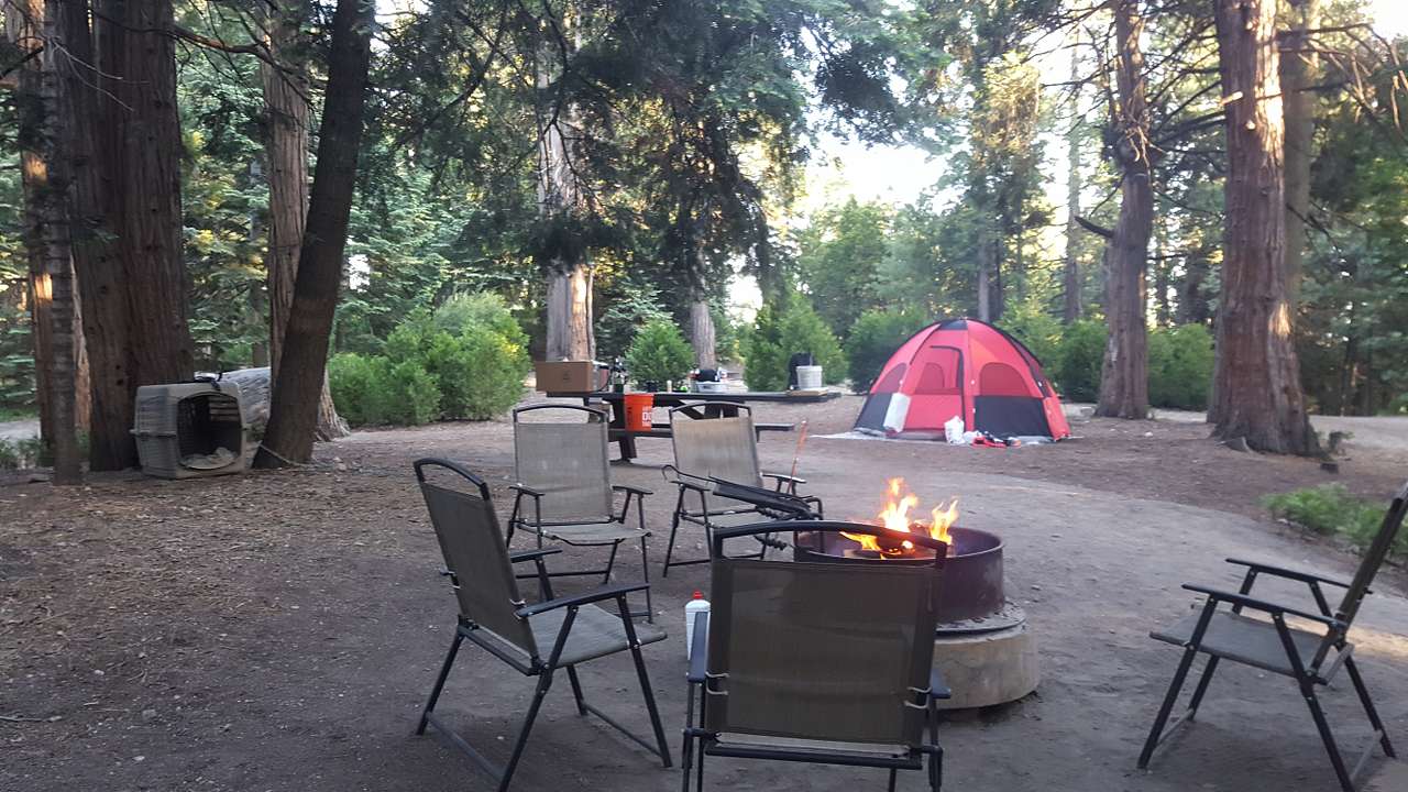 Campsite #52. HUGE