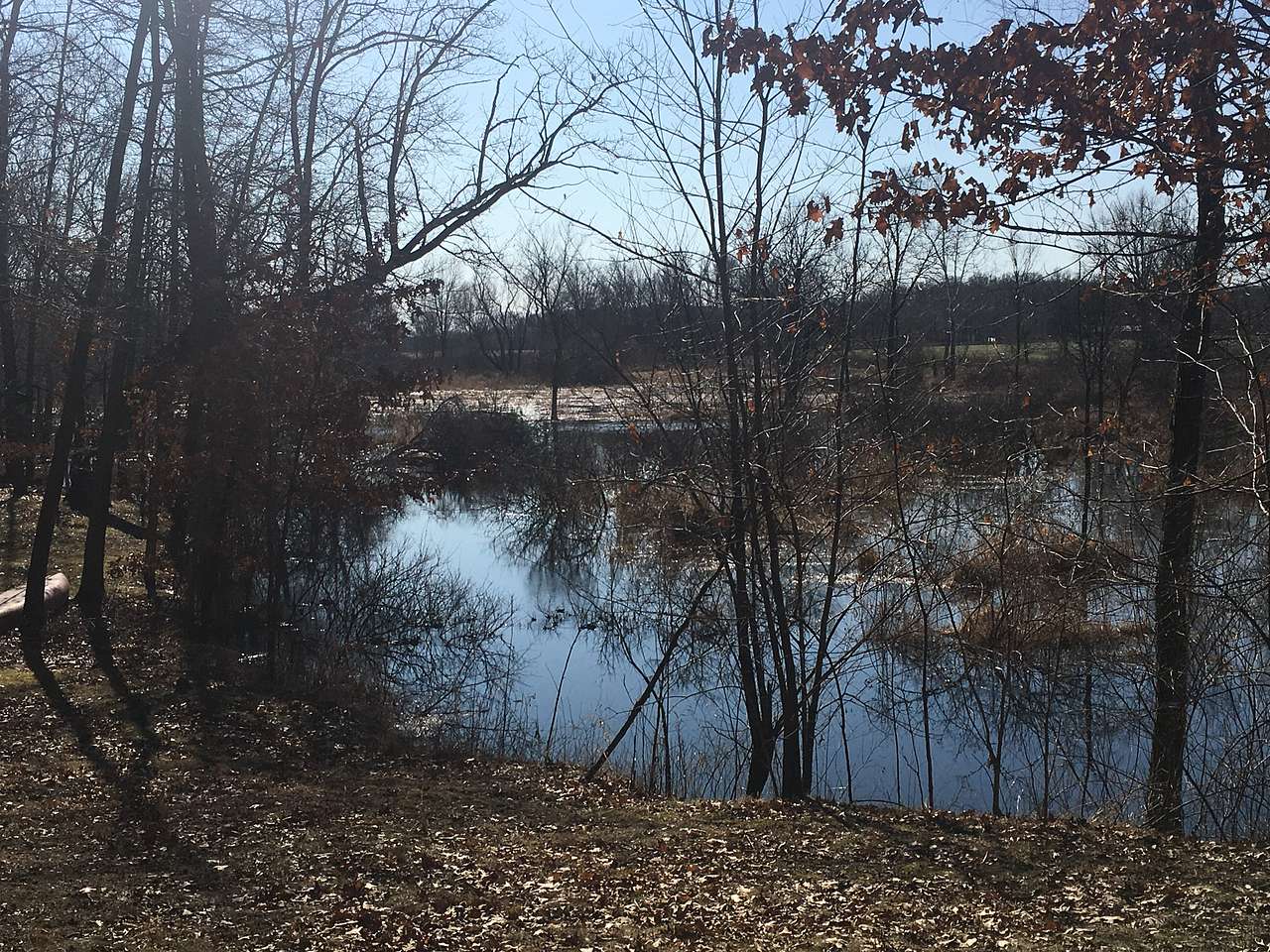 This is a view of the channel. Of course this is in the spring when we have an abundance of water. The little channel doesn’t always look like this. All depends on the water level