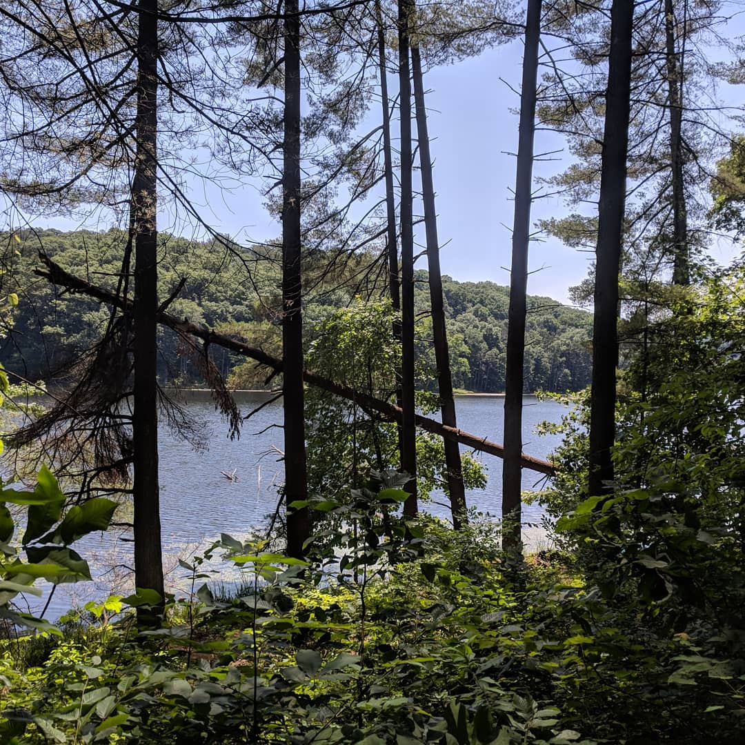 Furnace Trail out and back is 6 miles. Great views of lake.





