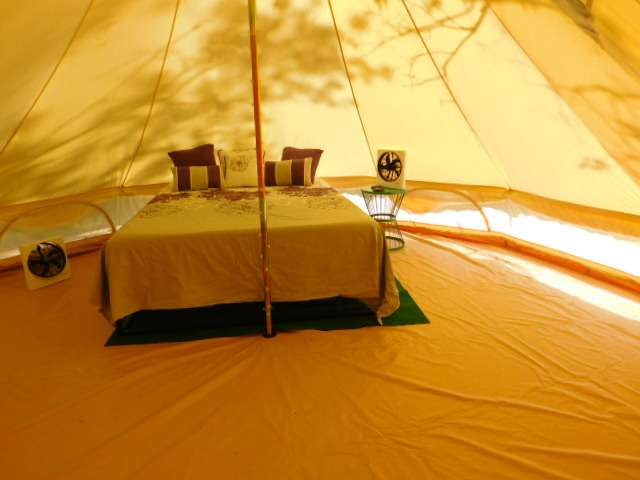 Interior view of Plum Tuckered Out.