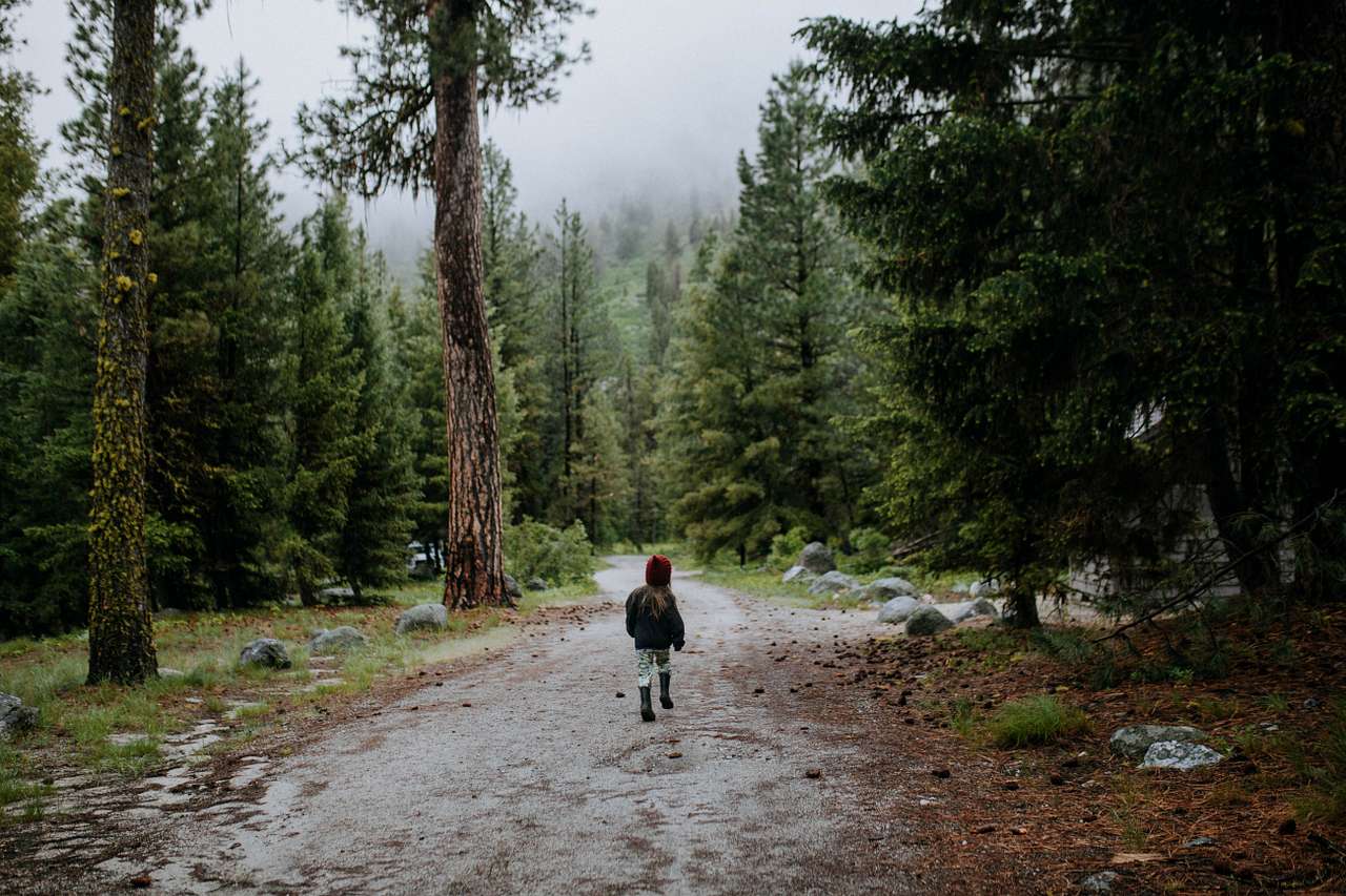 Boise National Forest