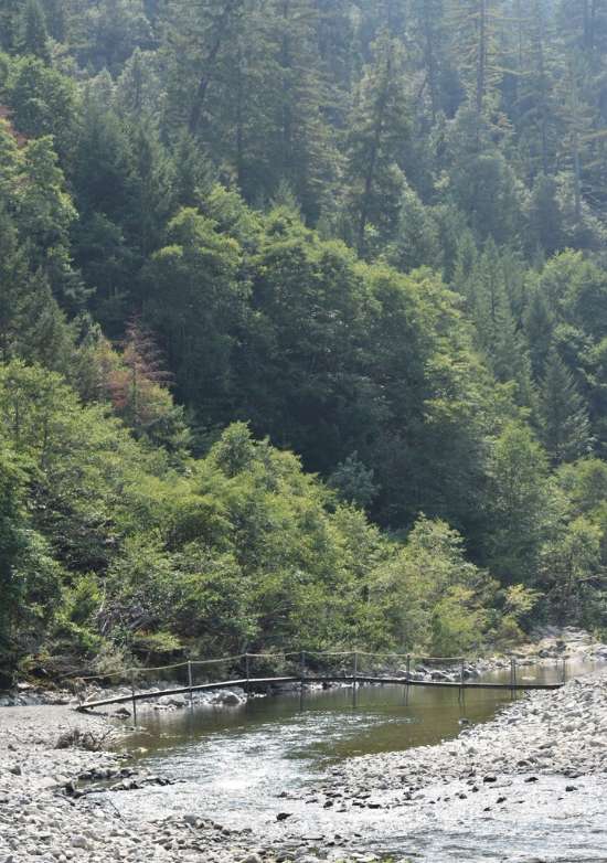 Redwood Campground