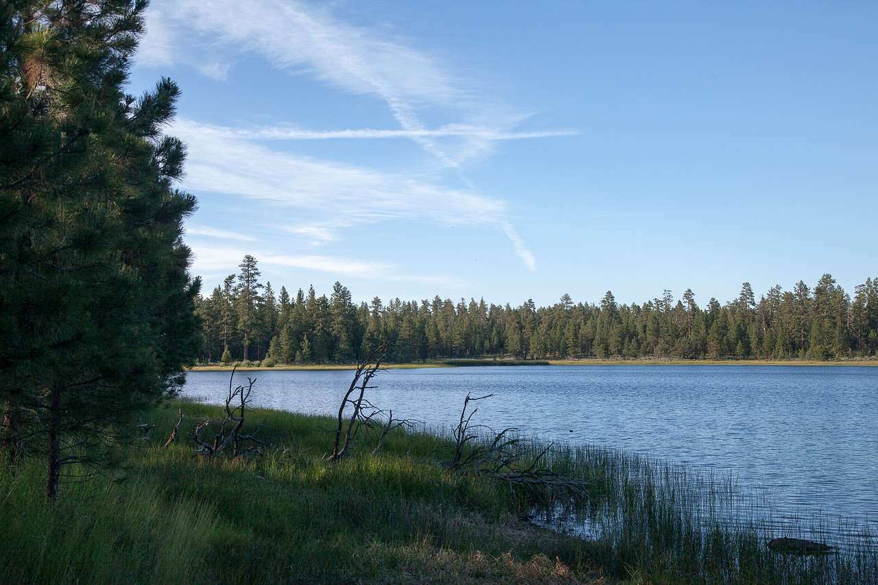 Delintment Lake Campground