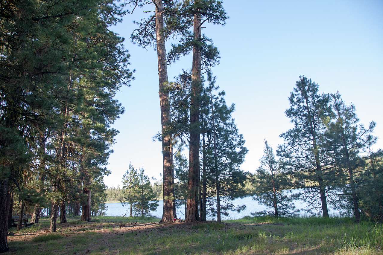 Delintment Lake Campground