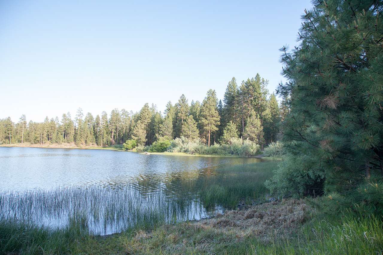 Malheur National Forest