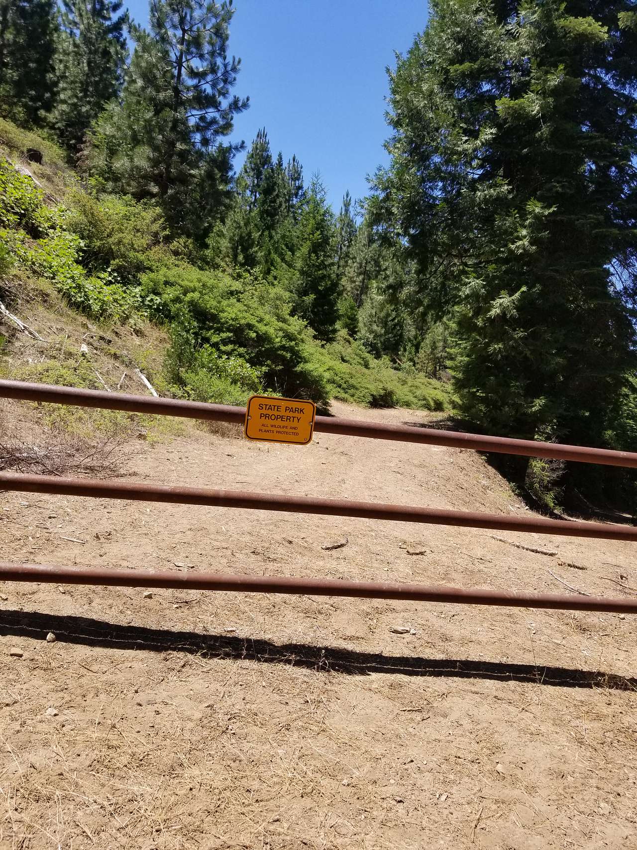 Take your mountain bike, ride the OK Corral loop (found on mtb project) out of the South Grove.