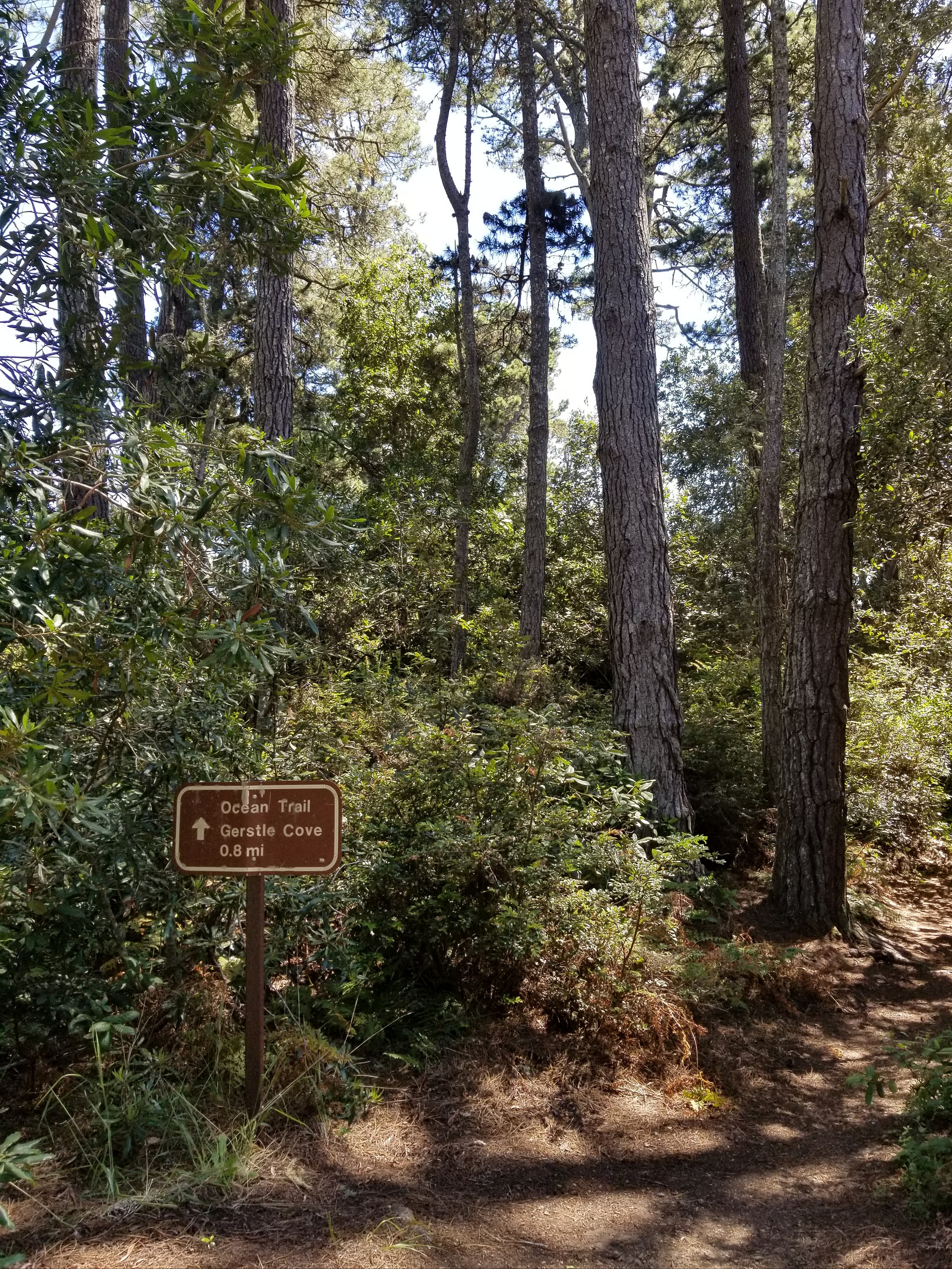 Trailhead at the campground, near site 34.
