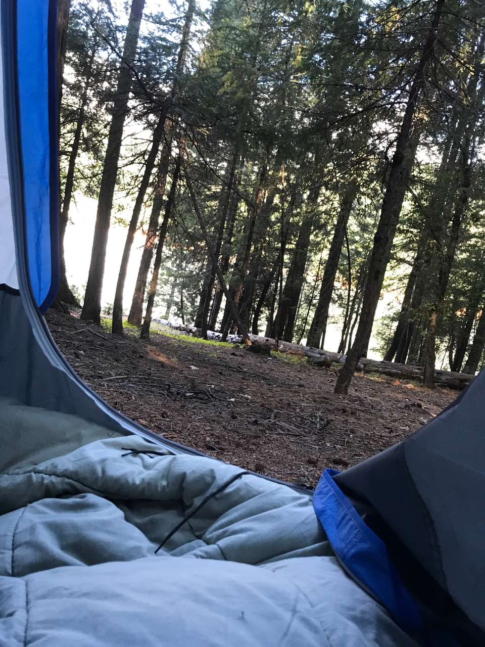 Trinity River Campground