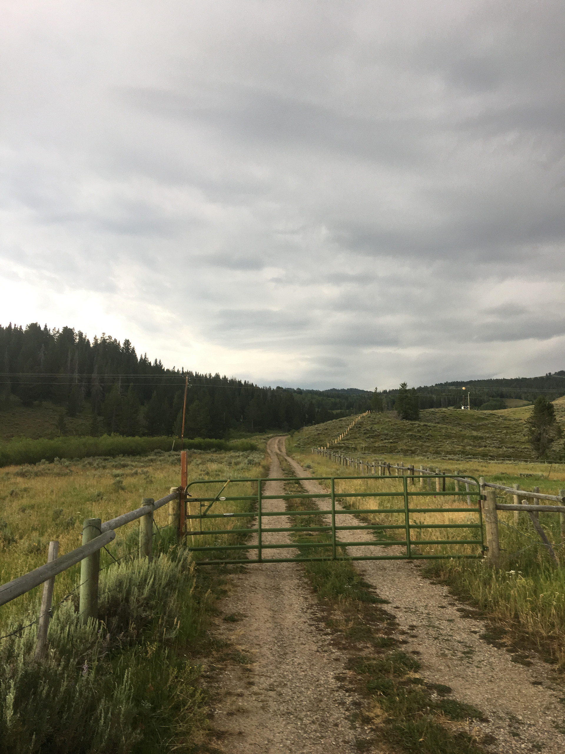Teton National Forest