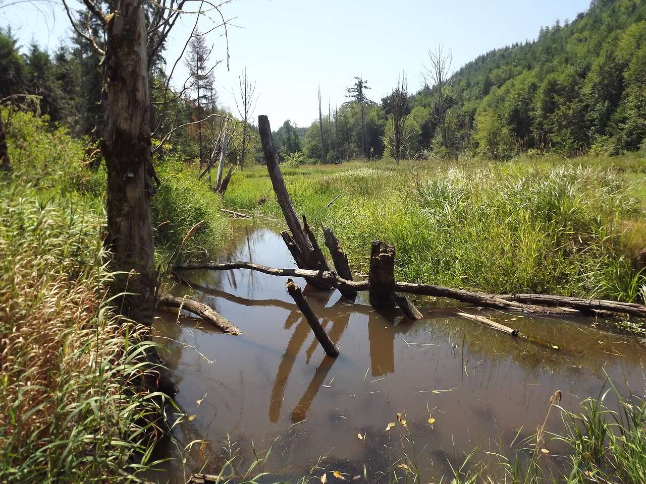 view of the duck pond and the valley