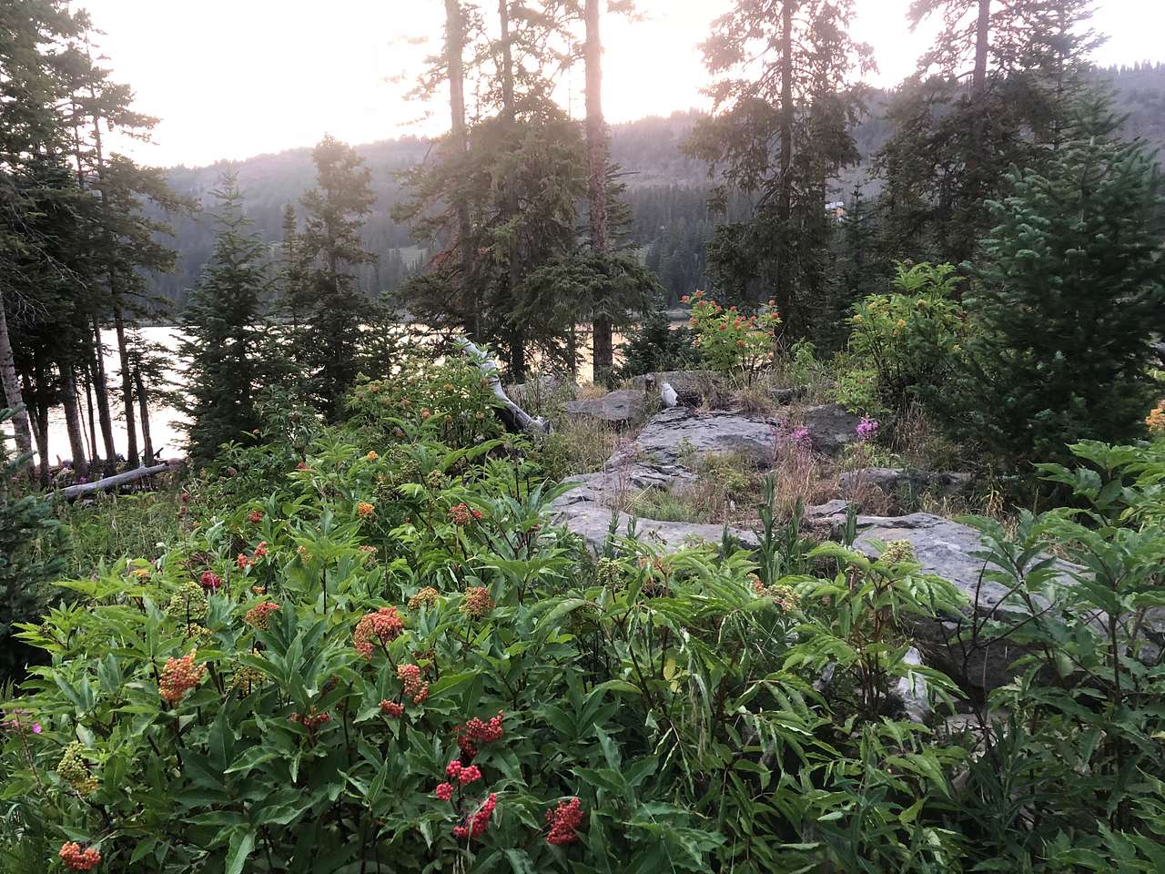 Little Bear Campground