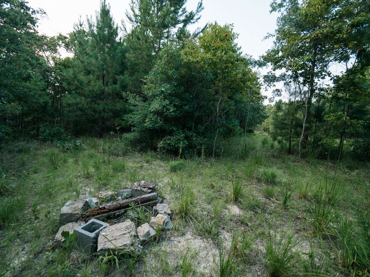 There are so many acres for you to choose to set up your tent. A few different spots have fire rings set up, like here.