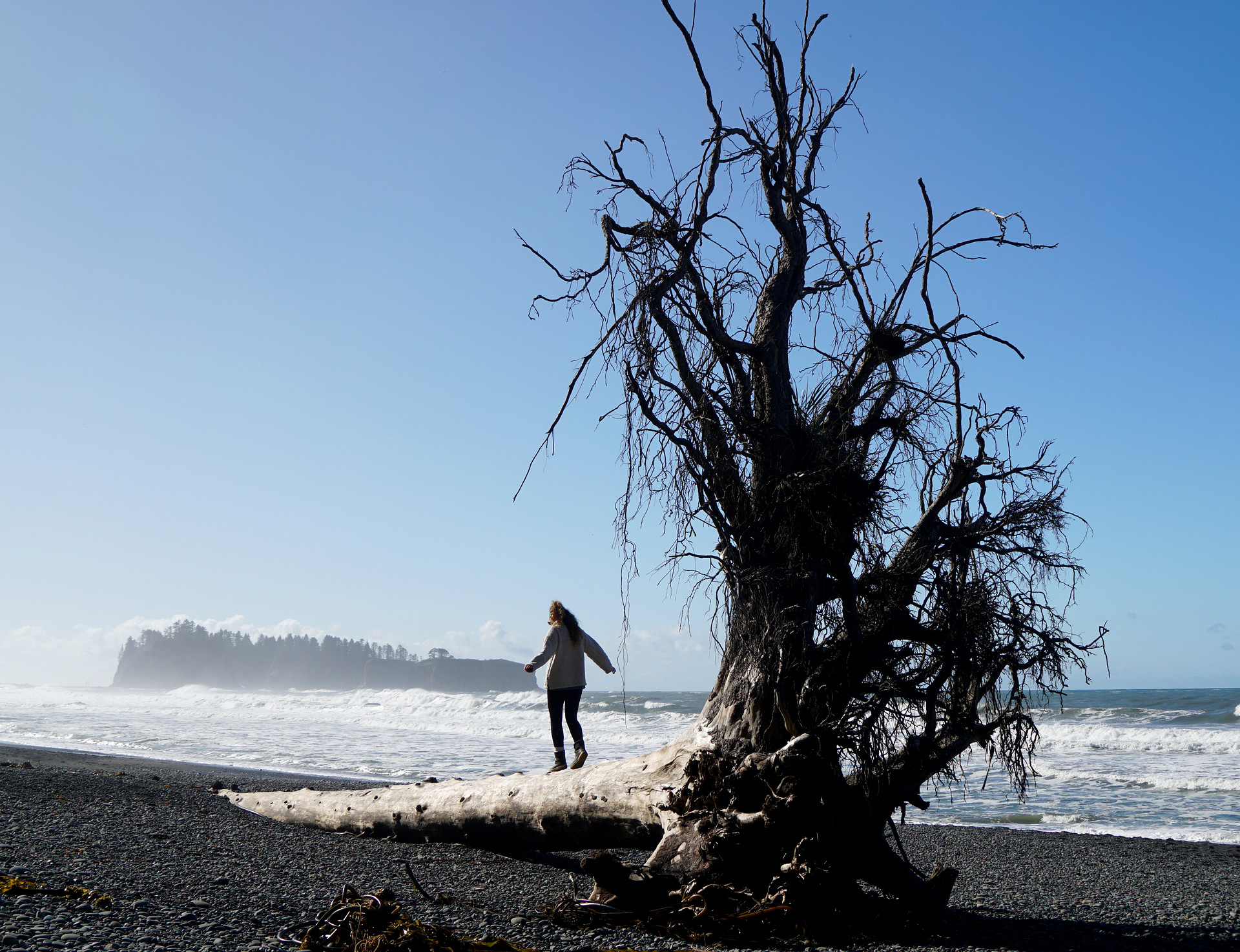 Exploring Rialto Beach, 2 miles from Mora Campground
