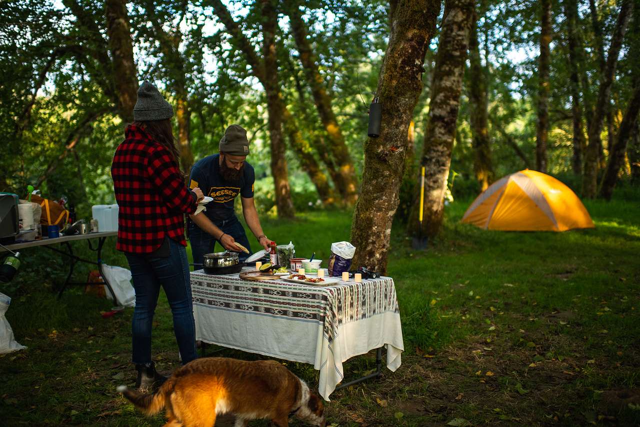 Bogachiel River Campsites
