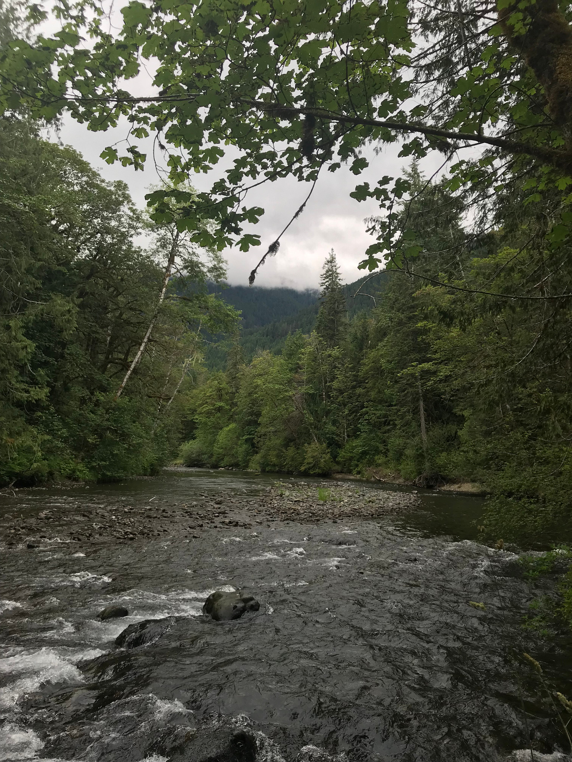  View from the trail on an overcast day.