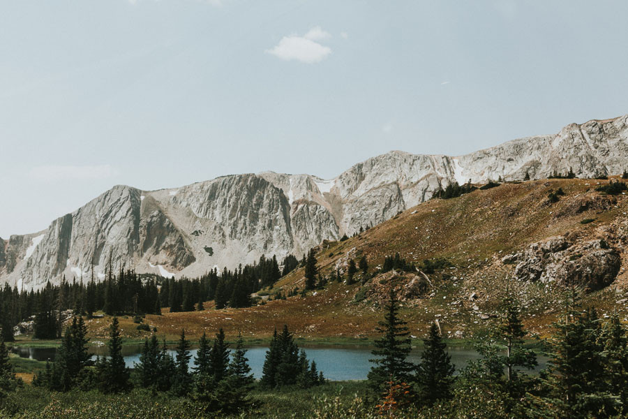 Medicine Bow National Forest