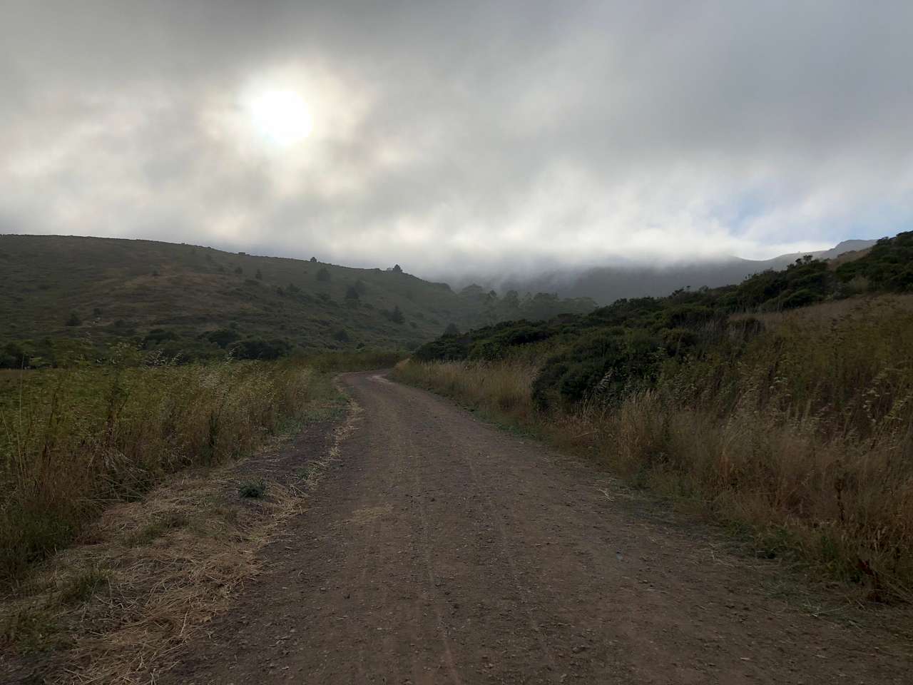 The half mile path out to the campsite directly.