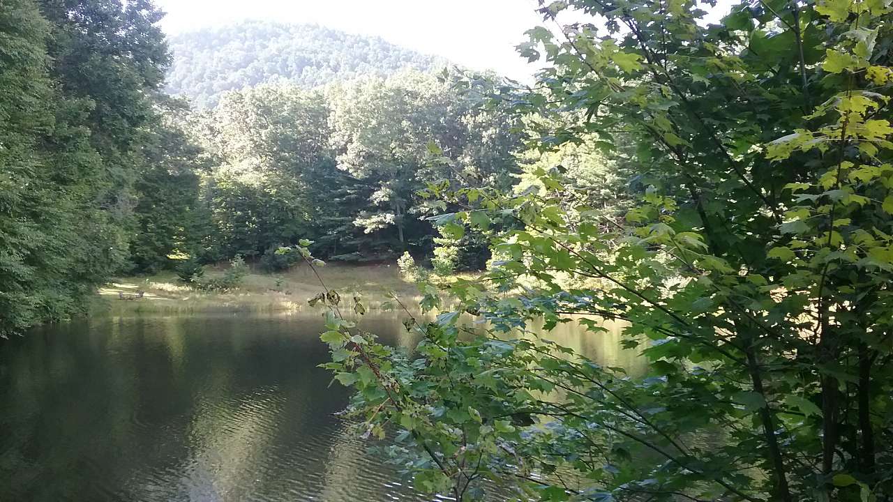 This is your view from your tent by the pond. The pond is stocked with bluegill.