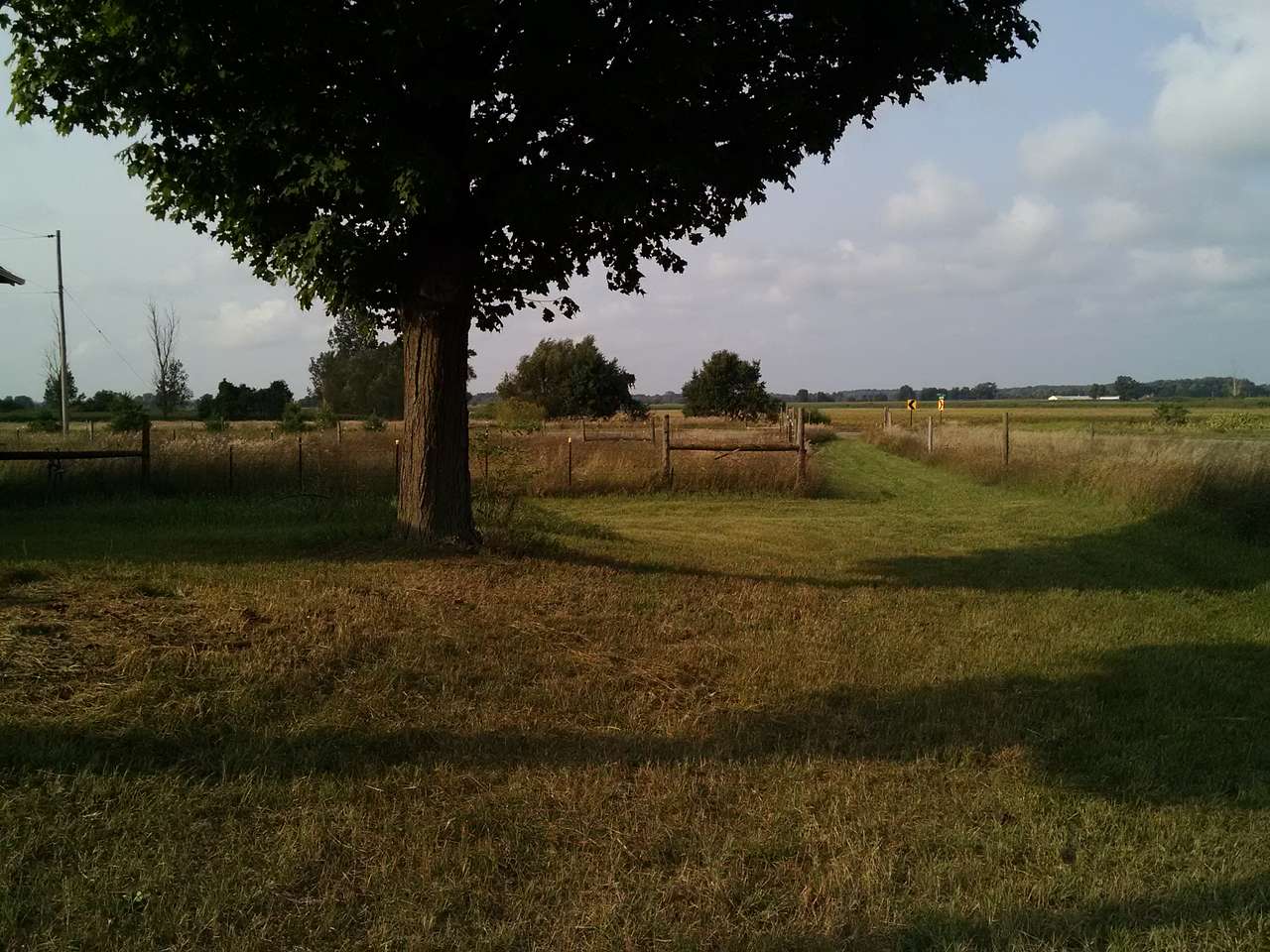 Site 1