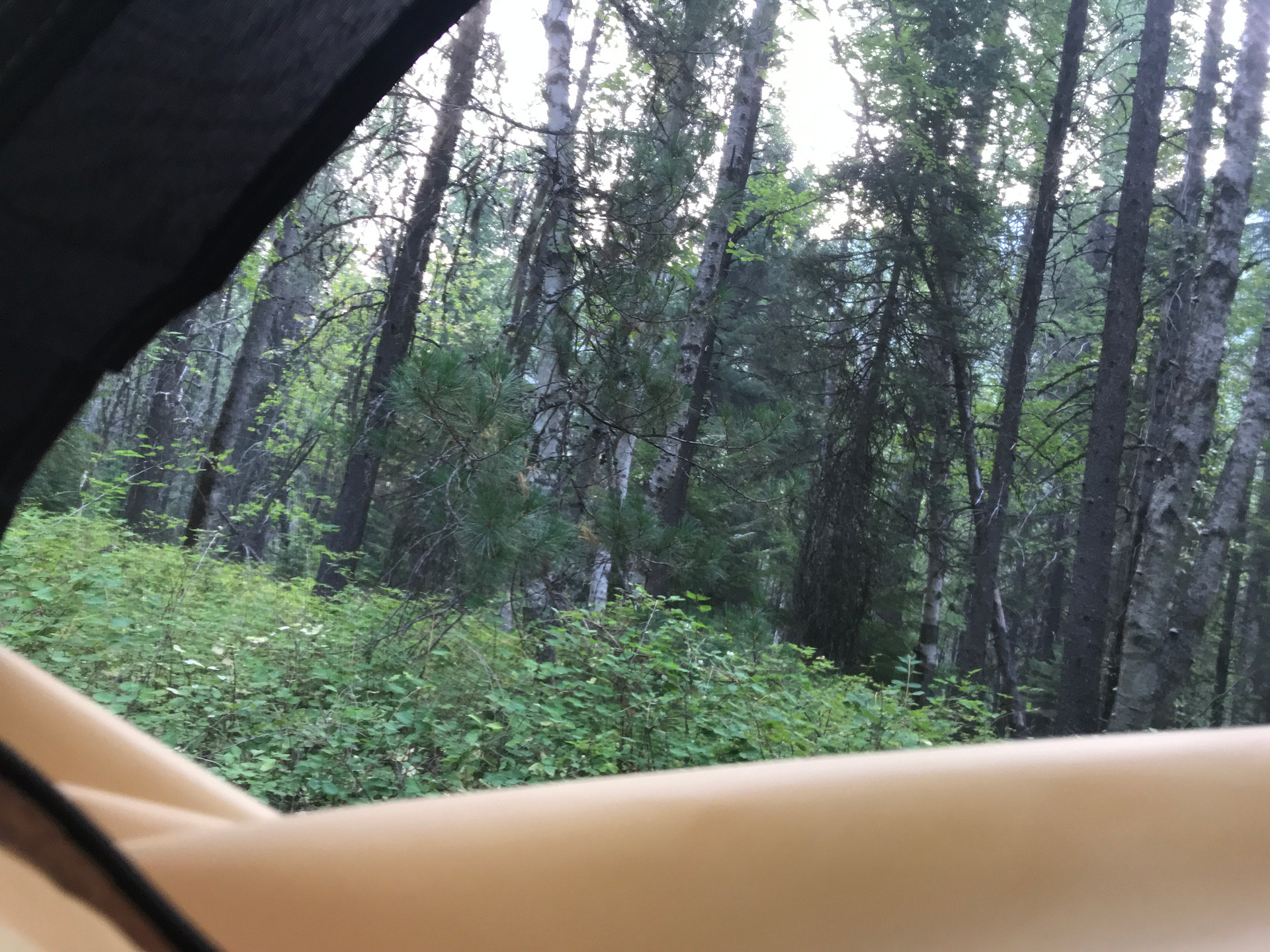 Apgar Group Campground