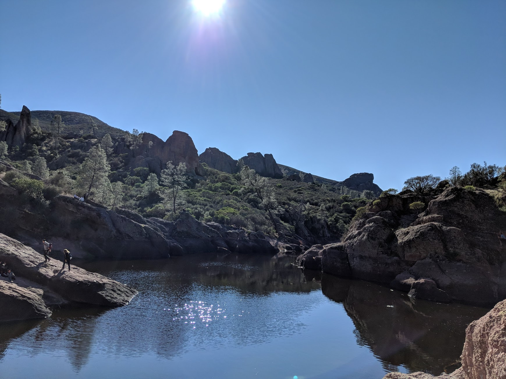 Shoshone National Forest