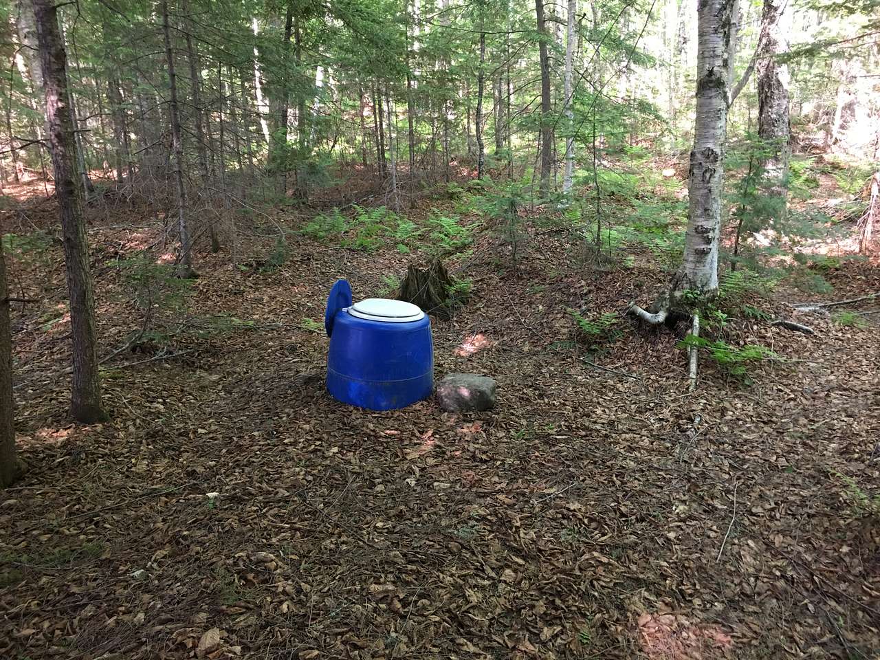 Site 5 latrine, yes outside no walls