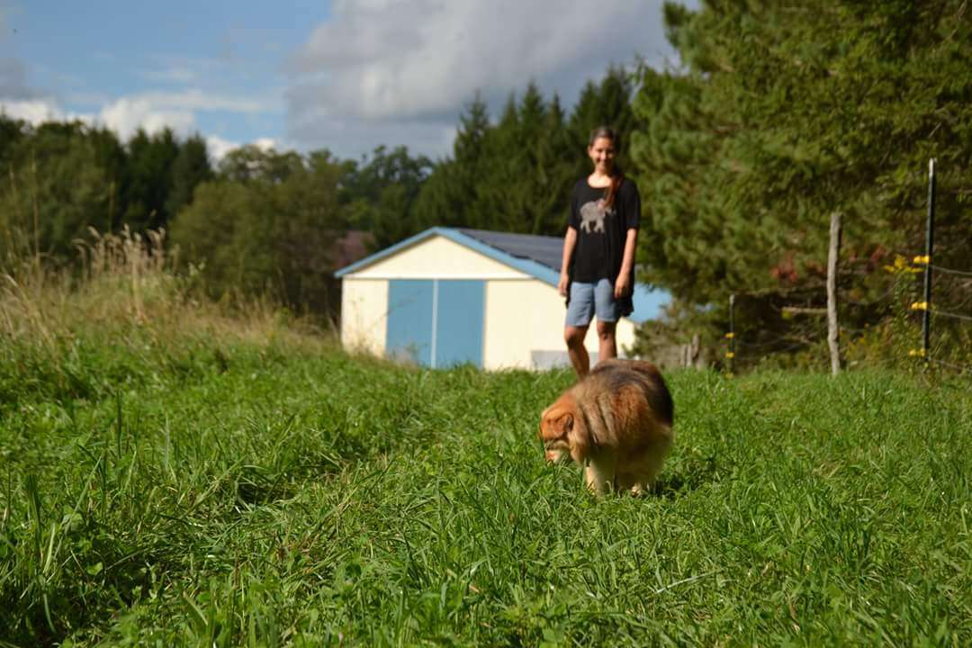 Possum Tail Farm