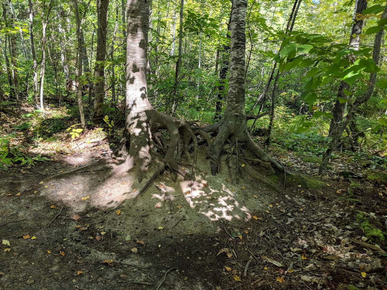 Itasca State Park