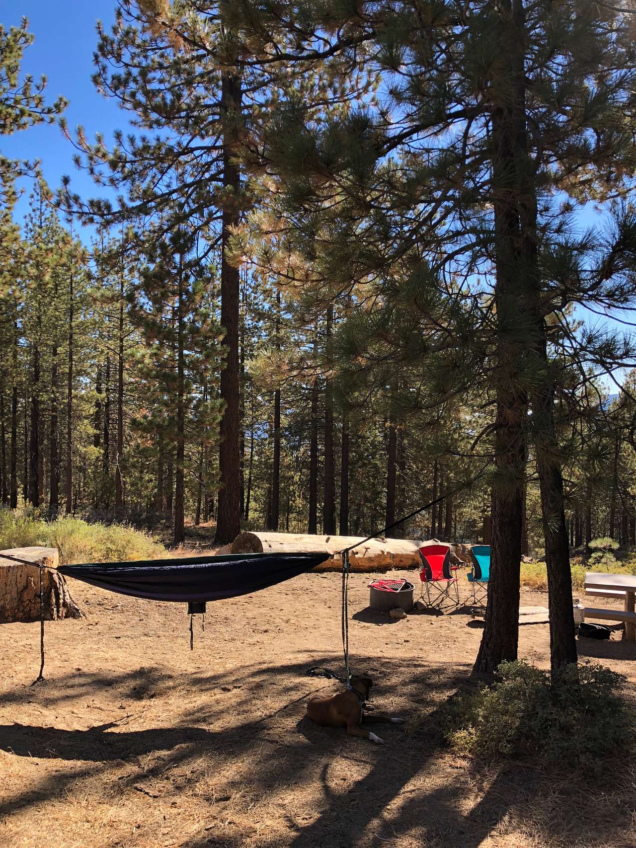 View from our tent.