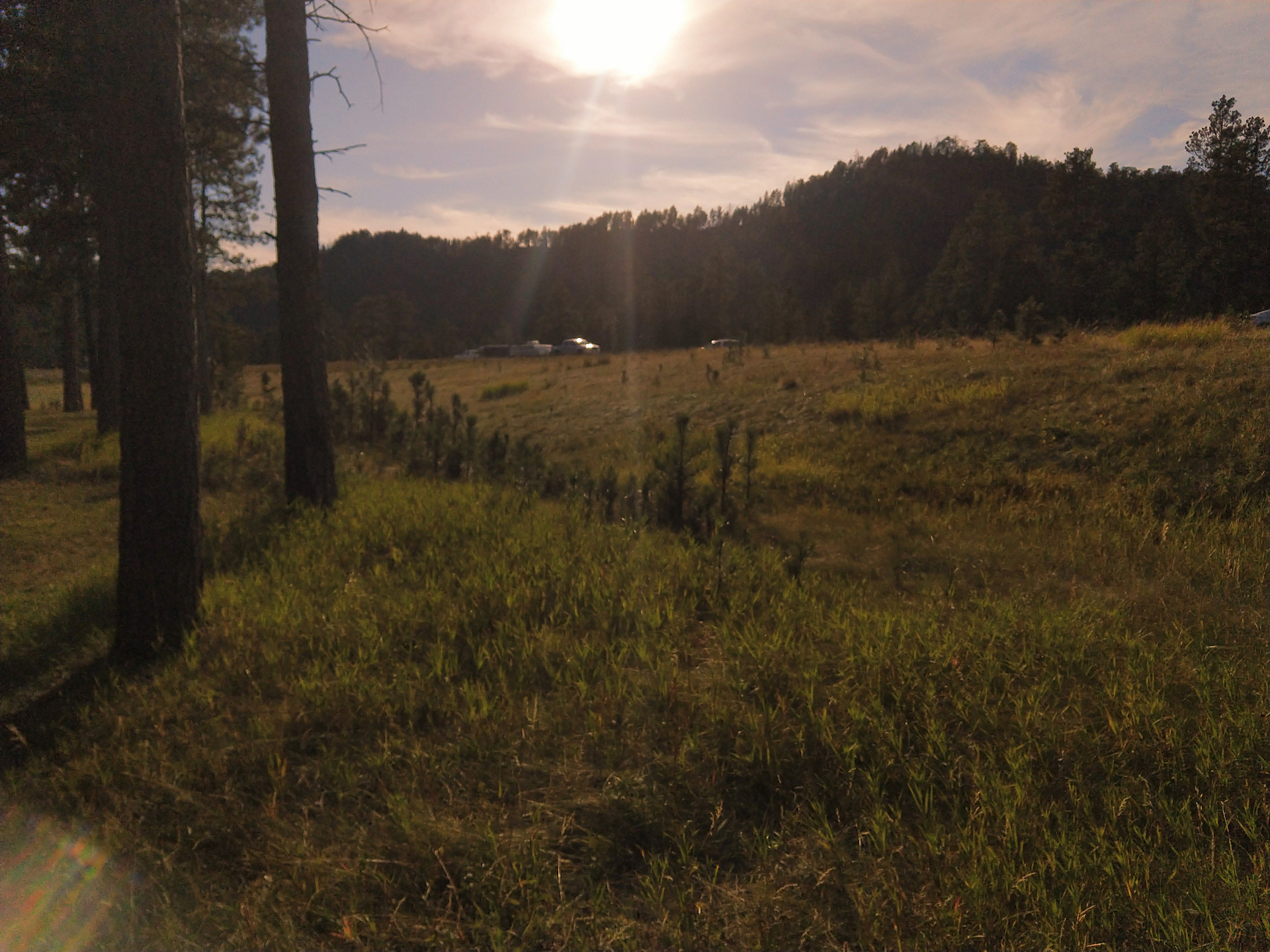 Oreville Campground