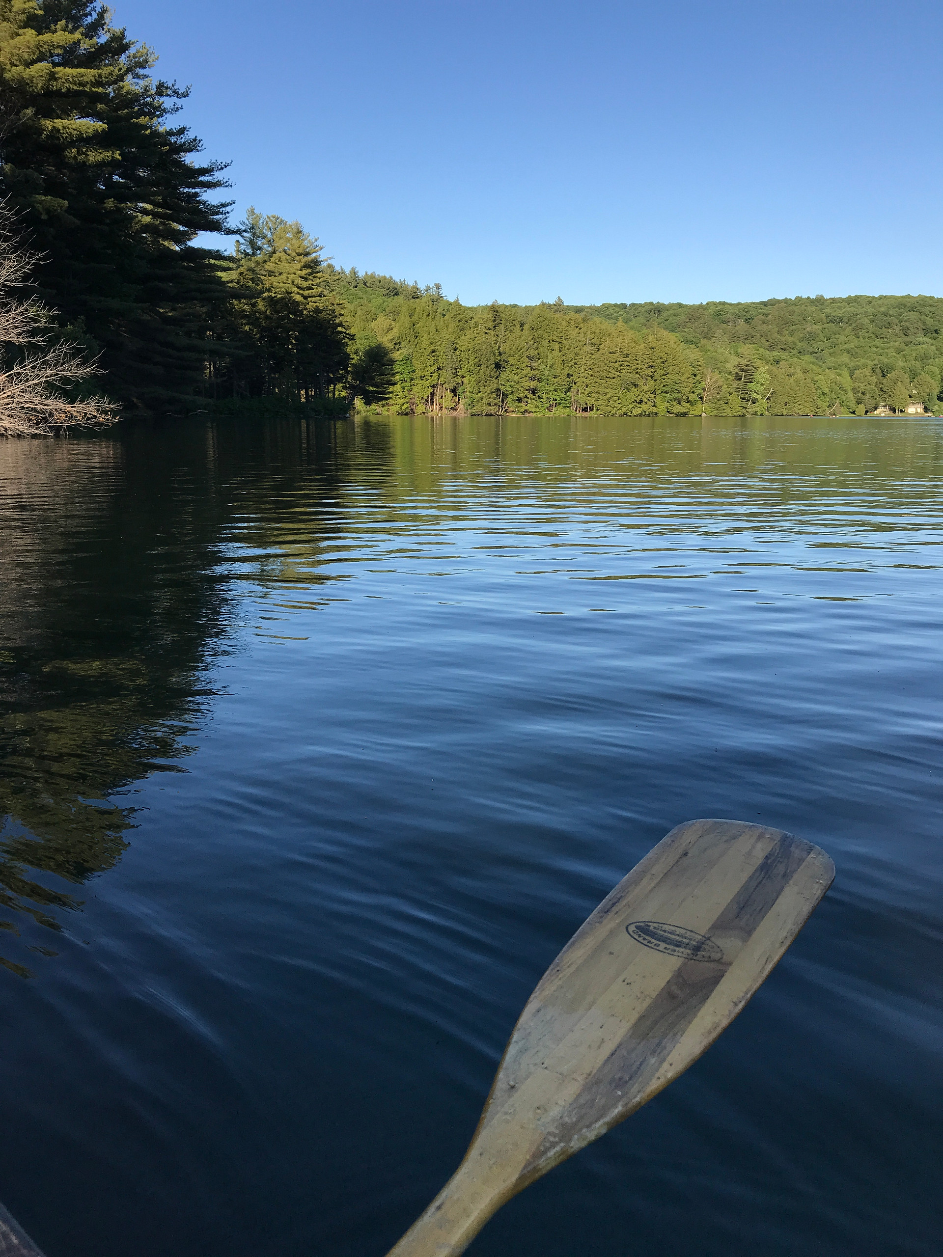 Green Mountain National Forest