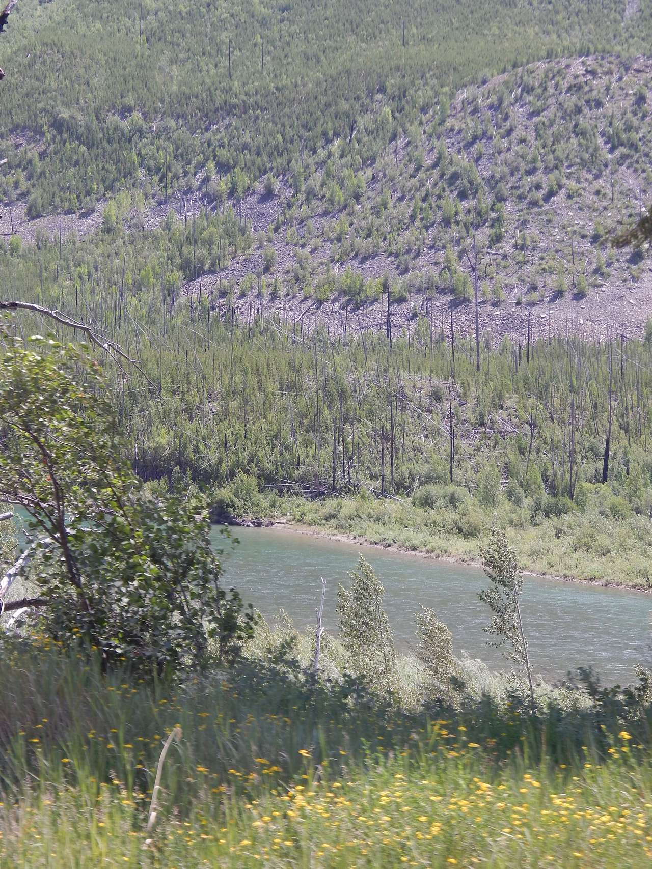 Big Creek Campground