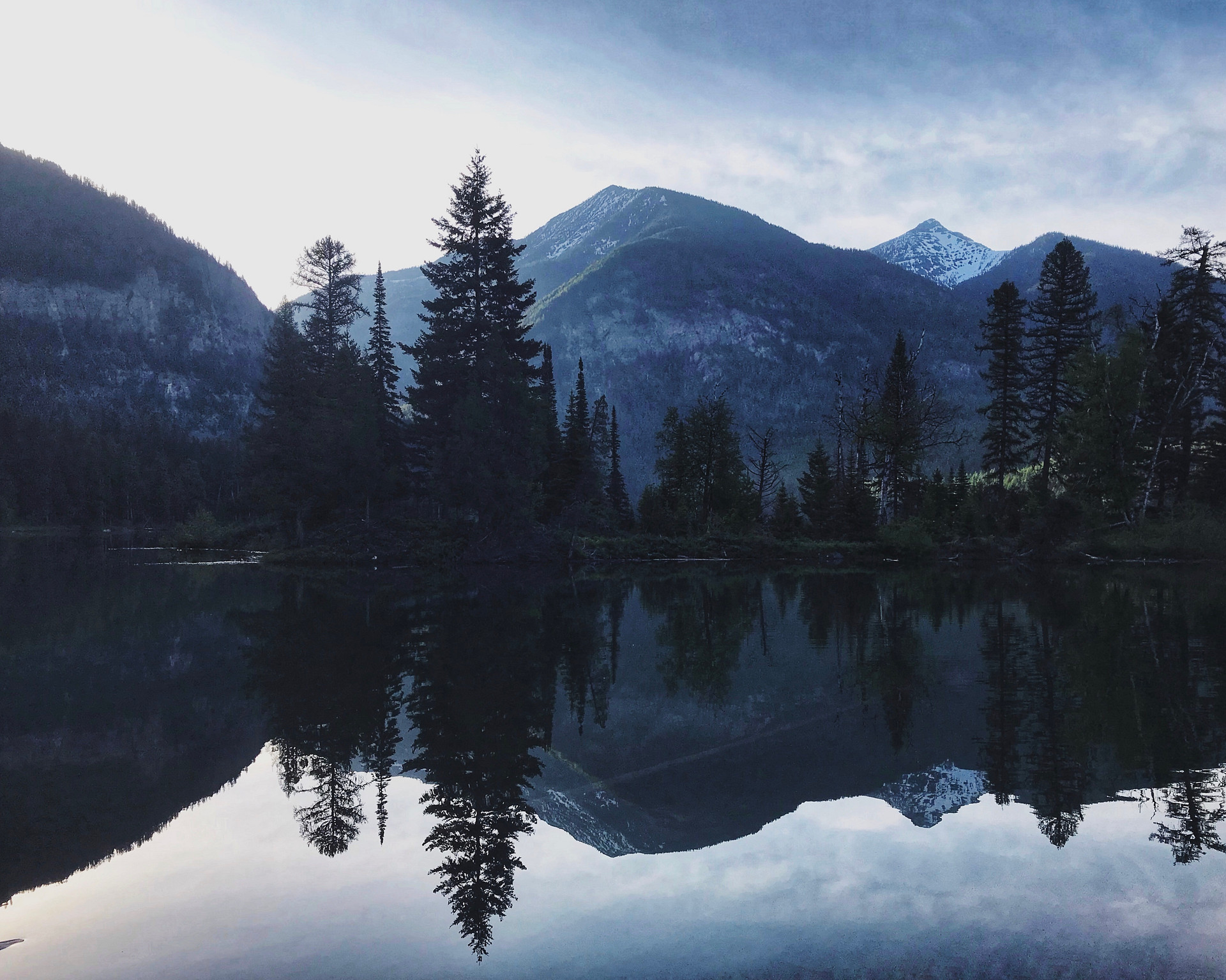 Flathead National Forest